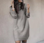 Roll-Neck Sweater Dress