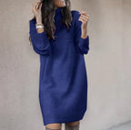 Roll-Neck Sweater Dress